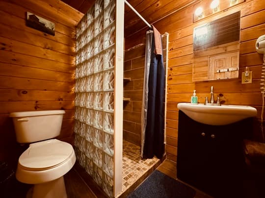 A rustic bathroom featuring a shower with glass block partition, a toilet, and a sink with wooden accents.