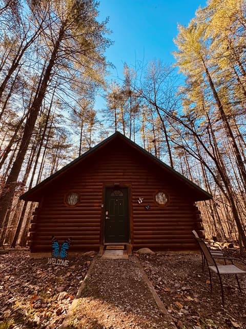 A cozy log cabin surrounded by tall trees under a clear blue sky.