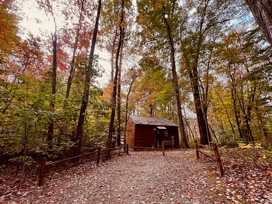 A rustic cabin surrounded by vibrant autumn foliage and tall trees.