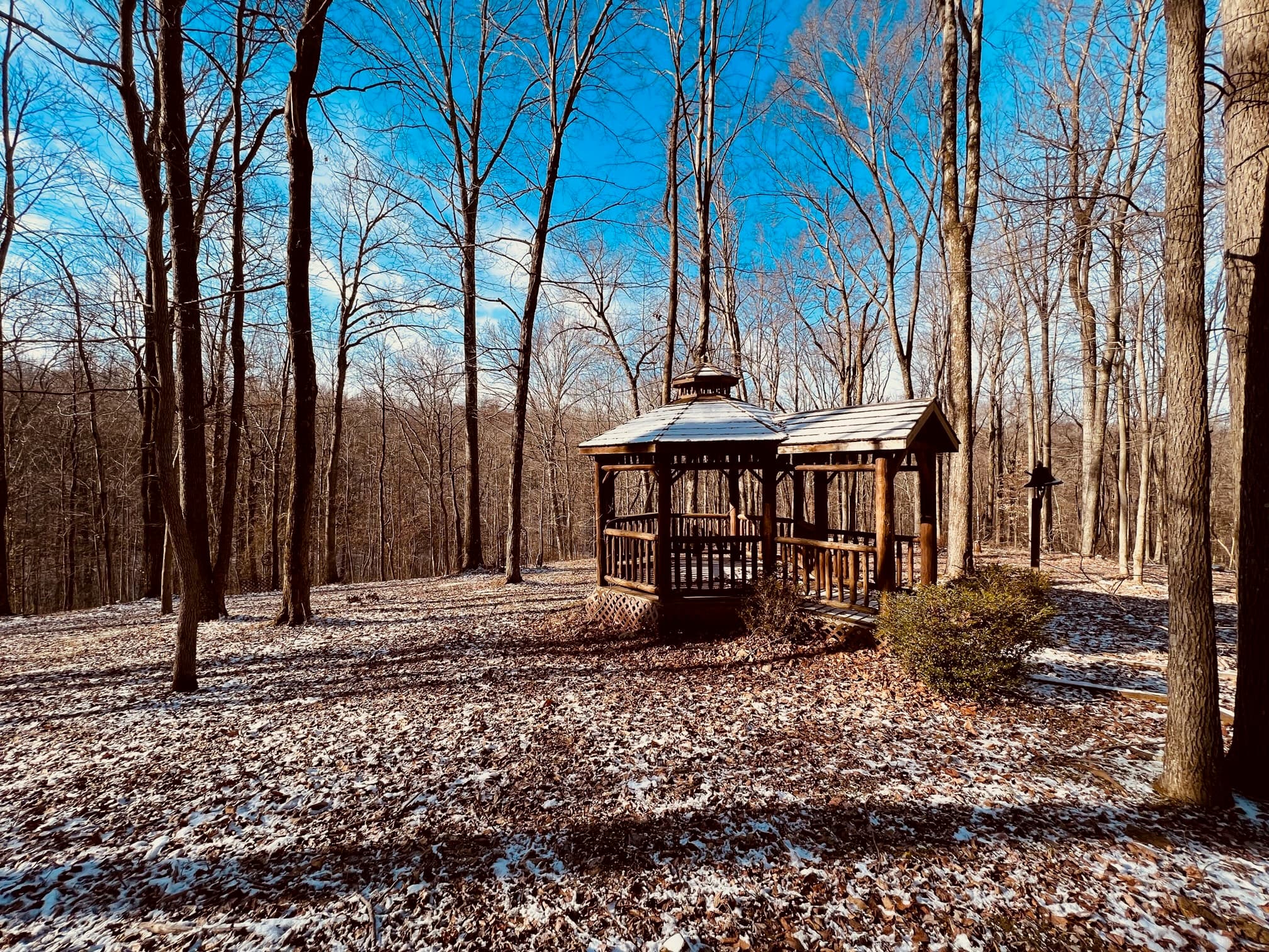 A wooden gazebo surrounded by trees in a snowy forest.