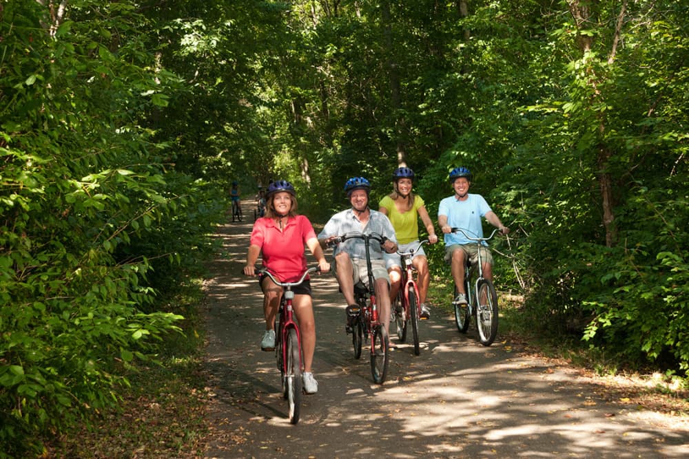 Four cyclists wearing helmets ride along a tree-lined path.