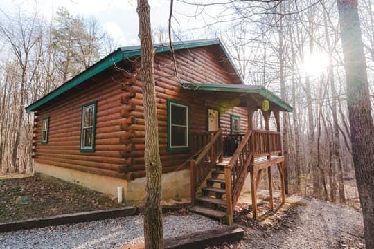 A rustic log cabin surrounded by bare trees and sunlight.