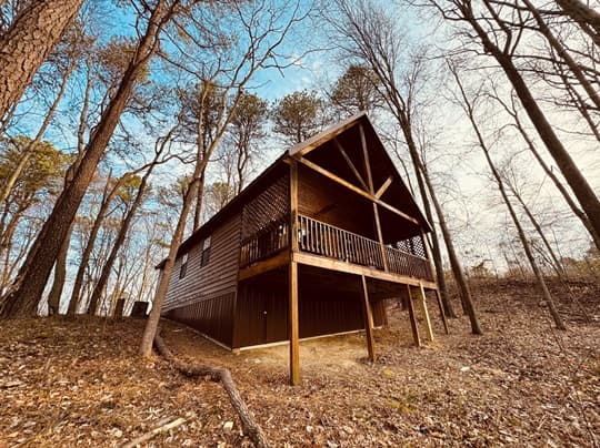 A wooden cabin set among tall trees under a clear sky.