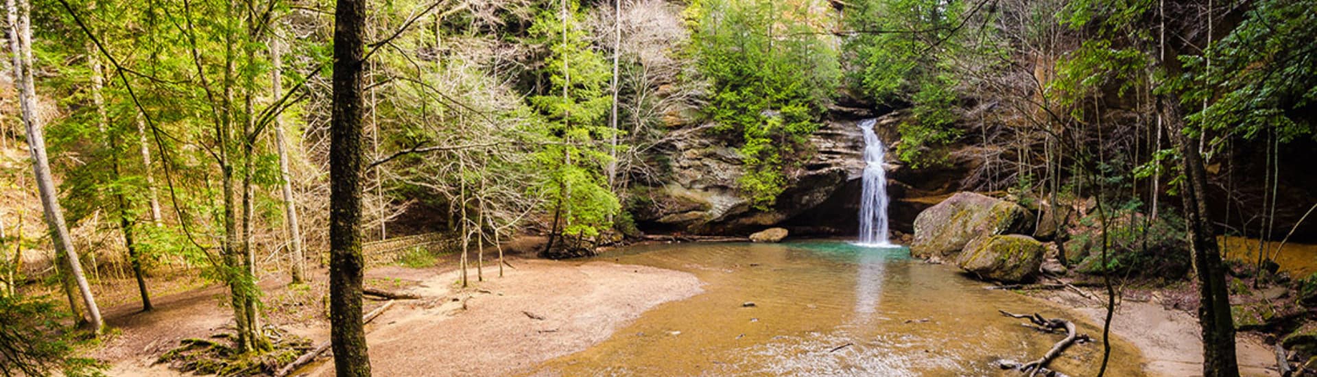 A serene forest landscape featuring a small waterfall cascading into a tranquil pool surrounded by lush greenery.