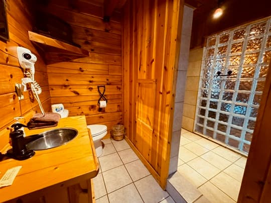A rustic bathroom with wooden walls, a sink, and a glass-walled shower.