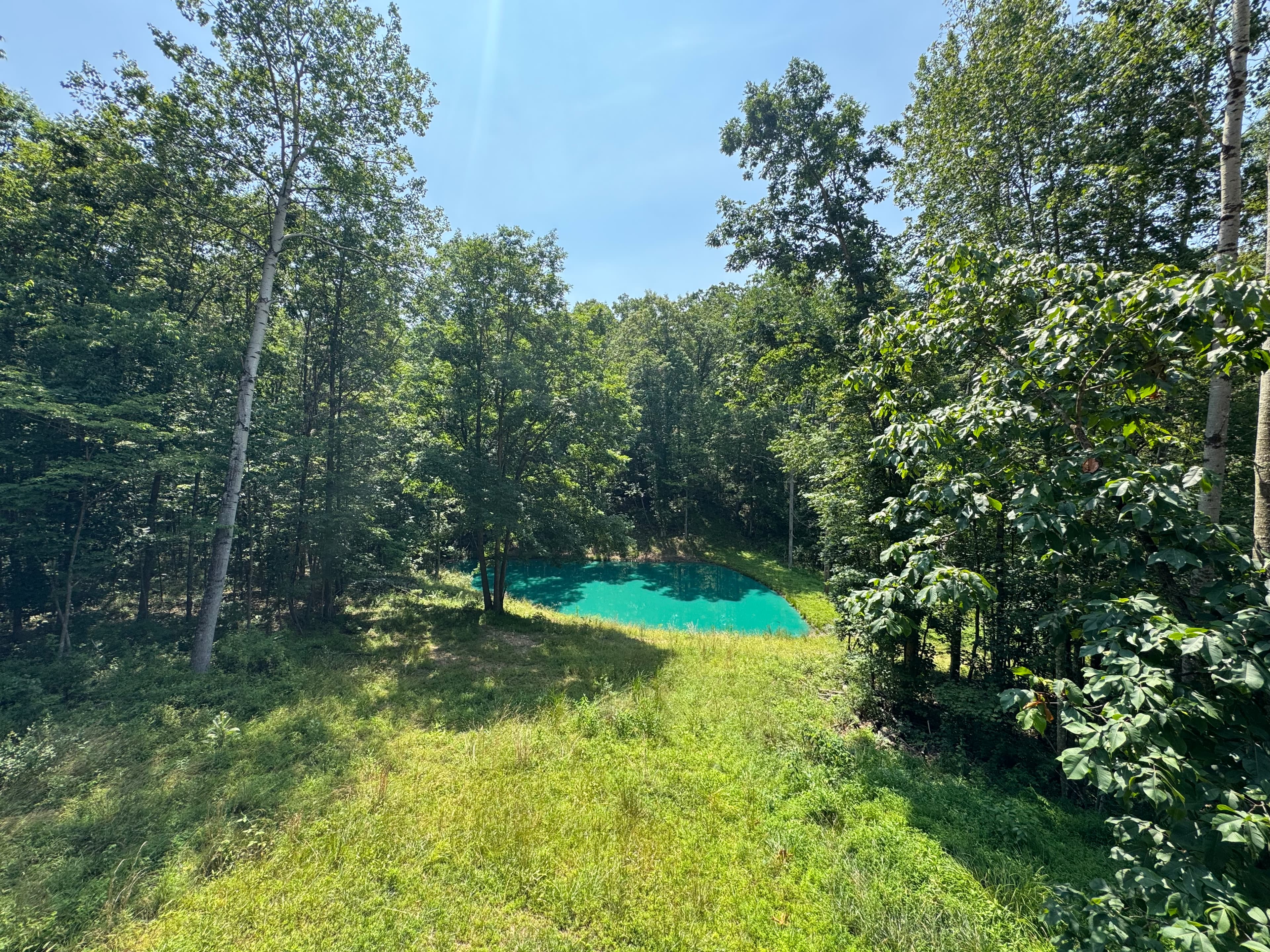A serene forest scene featuring a small, vibrant turquoise pond surrounded by trees and green grass under a clear blue sky.