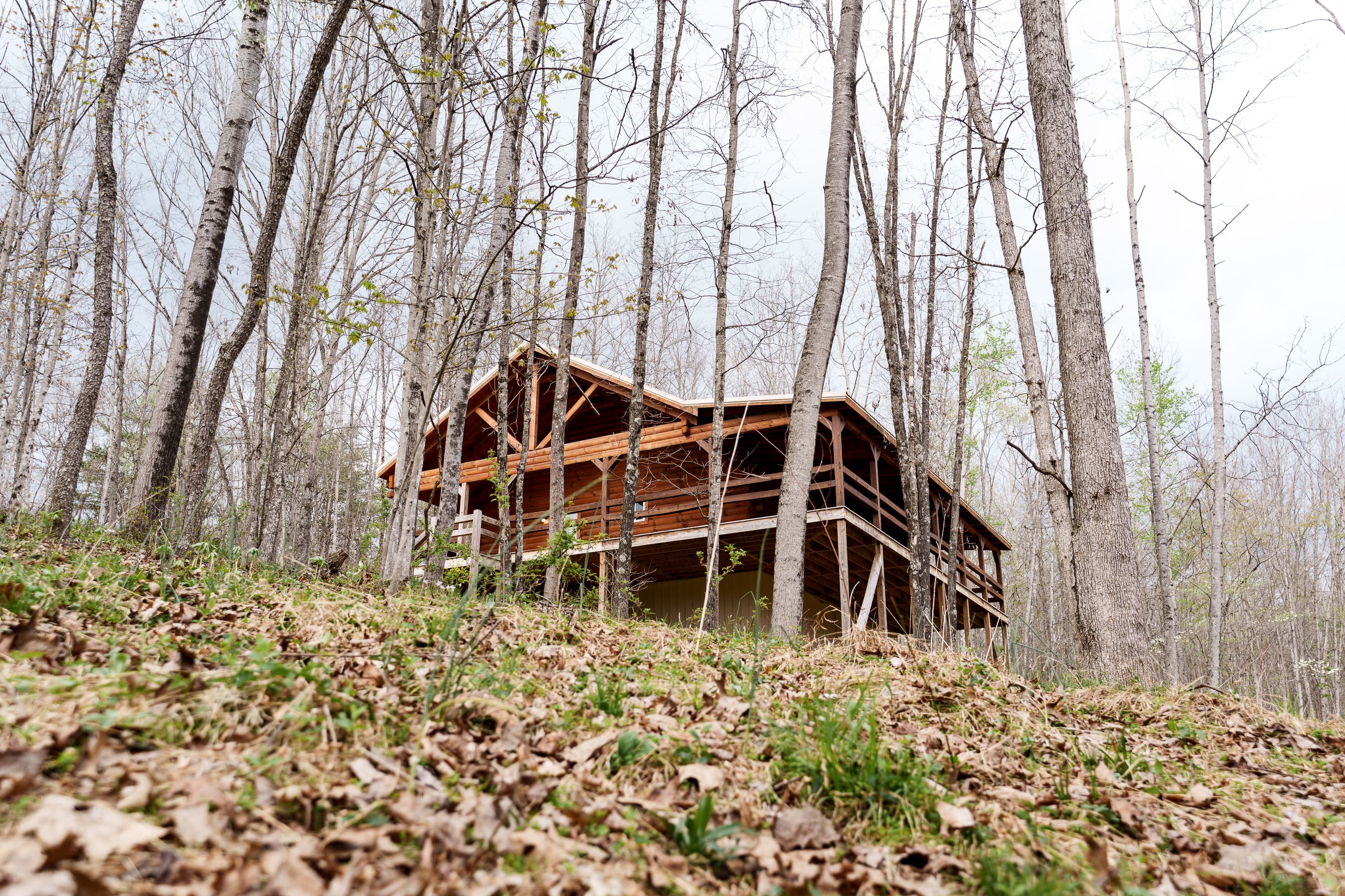 A wooden cabin situated among tall trees on a hillside.