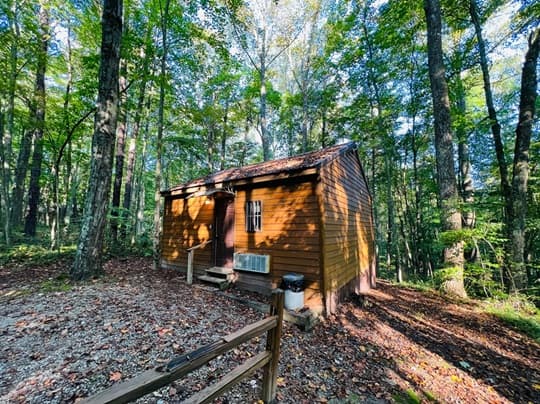 A small wooden cabin surrounded by dense trees and dappled sunlight.