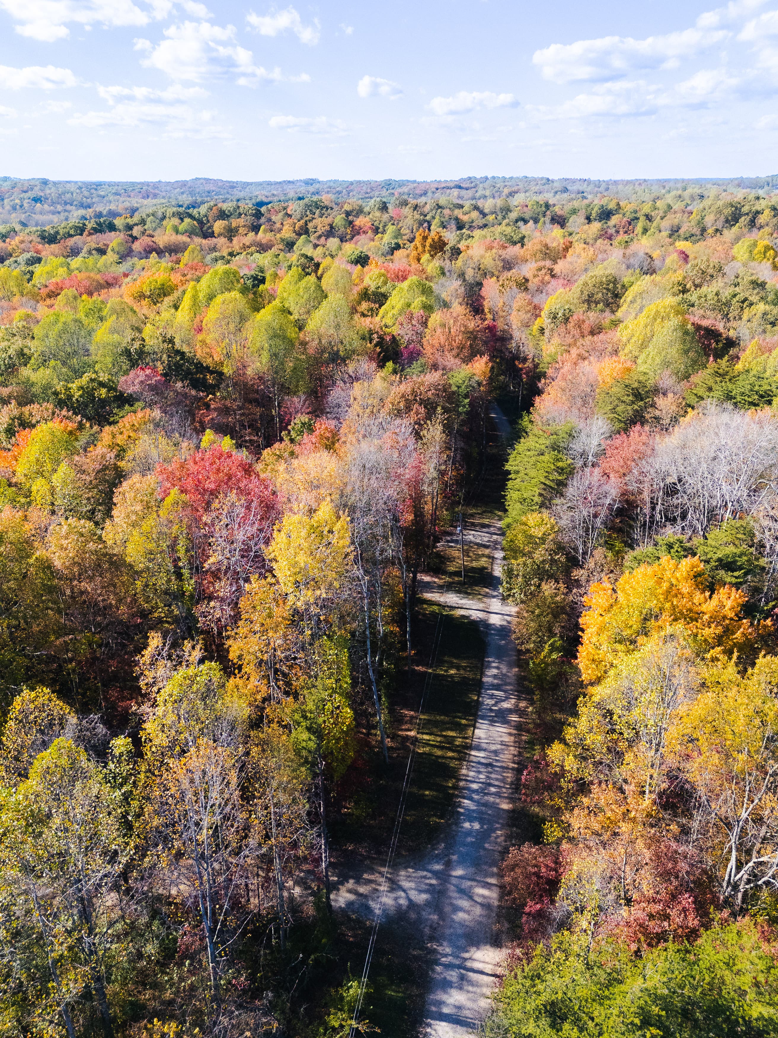Aerial view of a colorful autumn forest with a dirt path running through it.