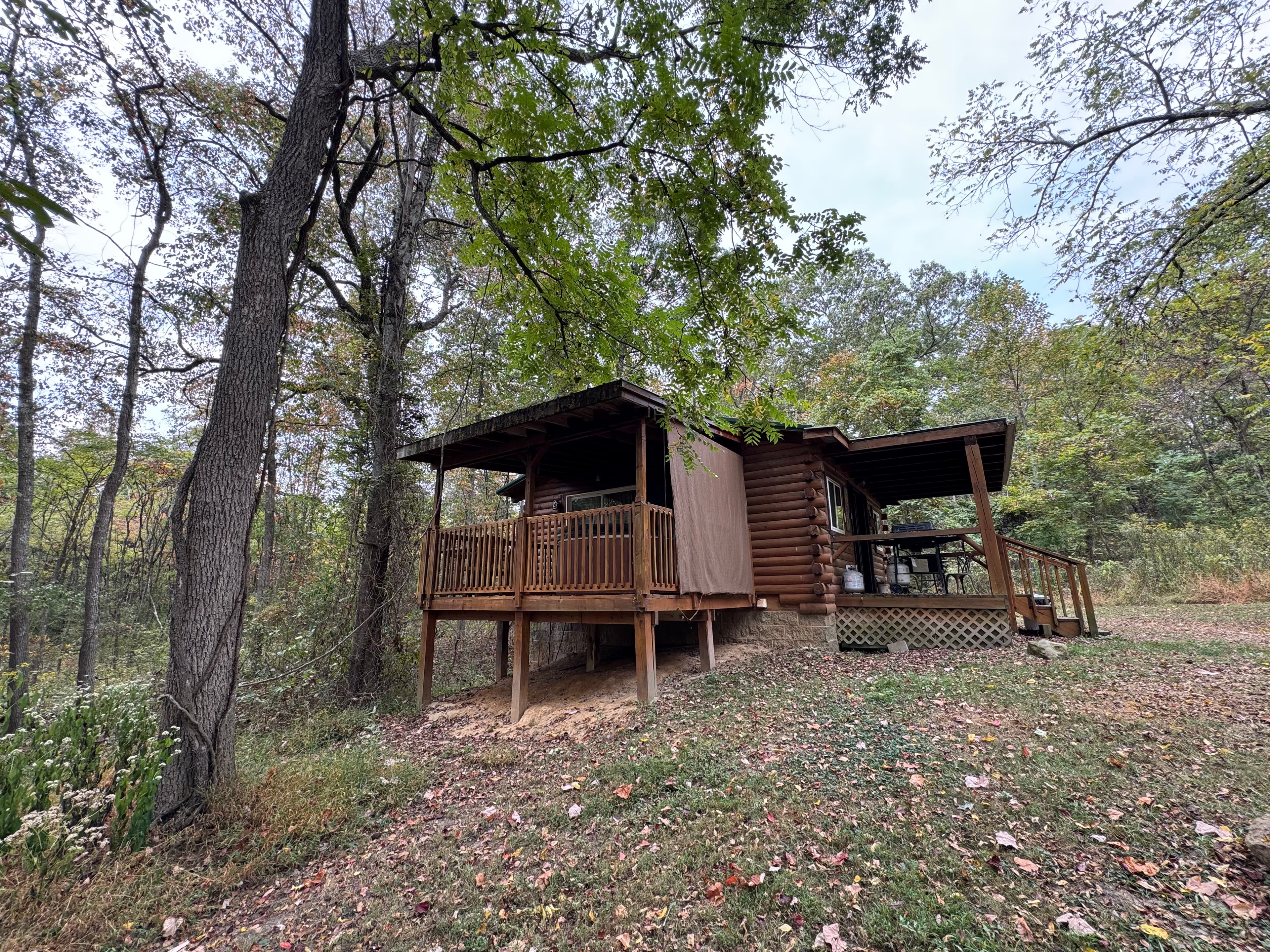 A wooden cabin nestled in a wooded area with a porch and surrounding trees.