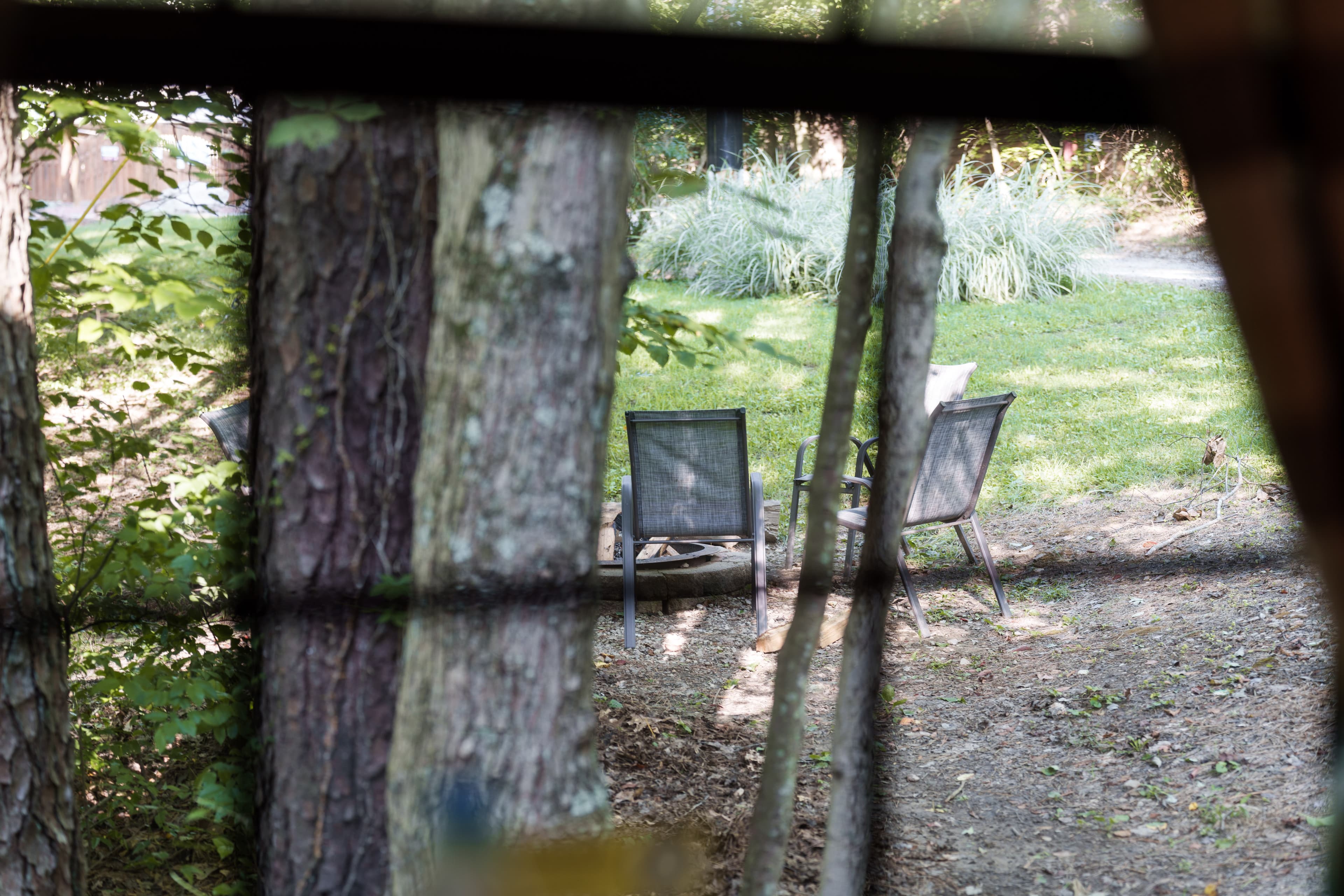 A view of a tranquil outdoor space with two chairs set among trees and greenery.