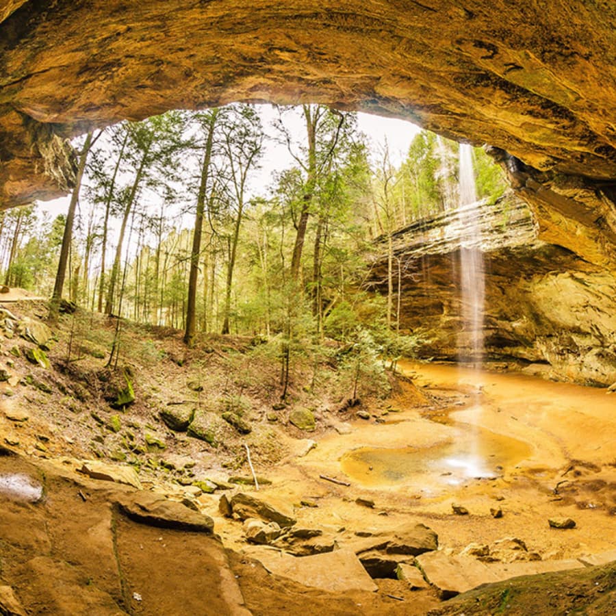 A serene cave scene featuring a waterfall surrounded by lush greenery and rocky terrain.