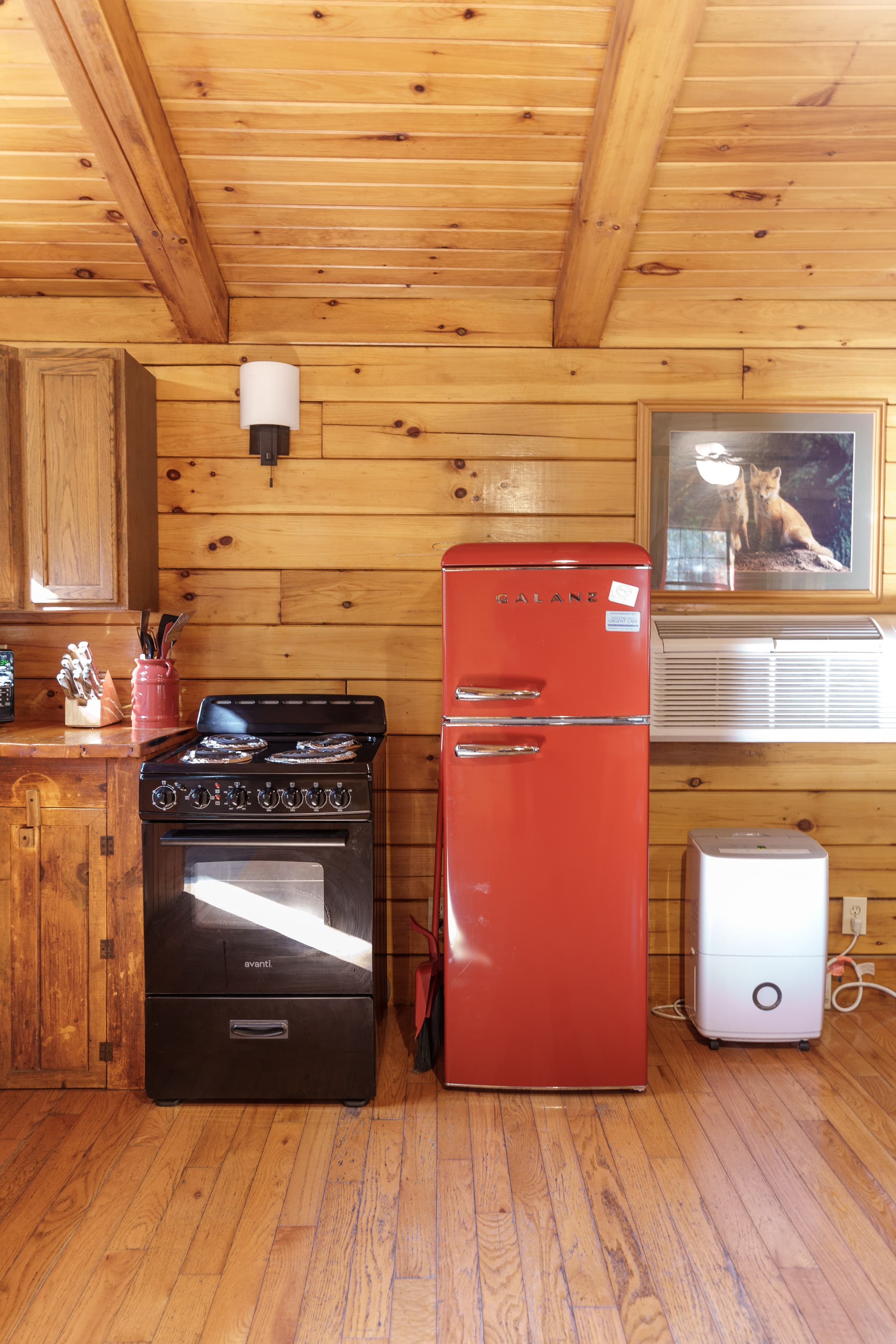 A cozy kitchen with a red refrigerator, black stove, wooden cabinets, and a framed animal portrait on the wall.