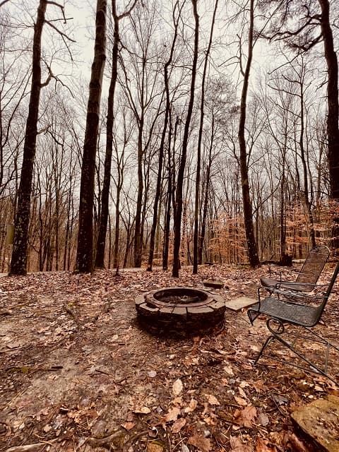 A stone fire pit surrounded by bare trees and fallen leaves, with a metal chair nearby.