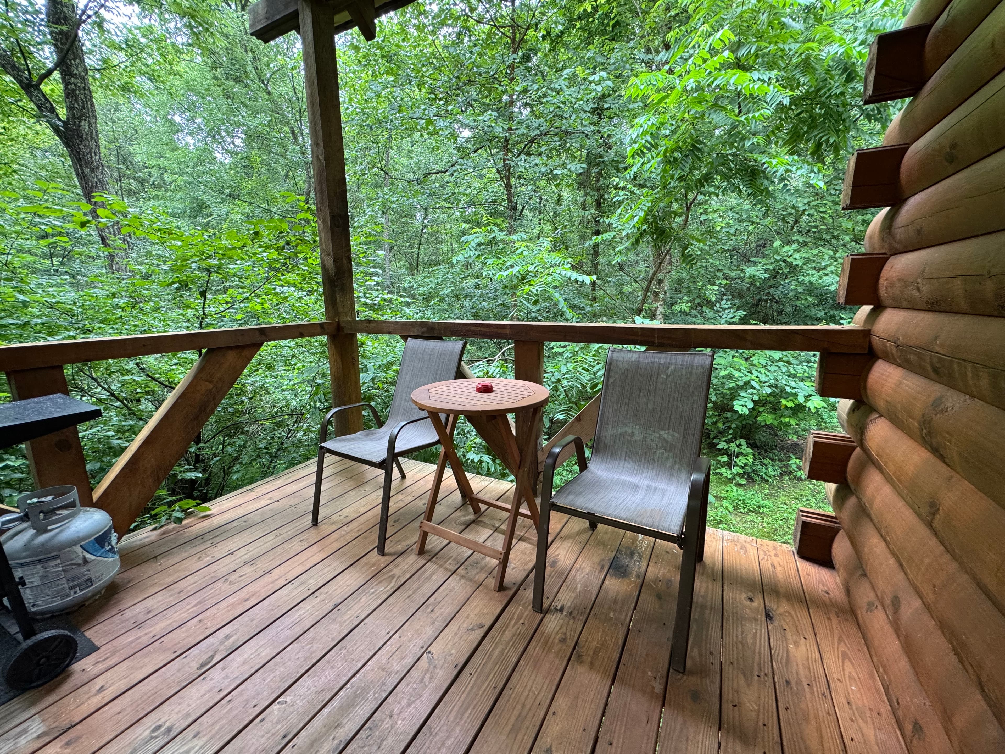 A wooden deck surrounded by lush greenery features two chairs and a small table.