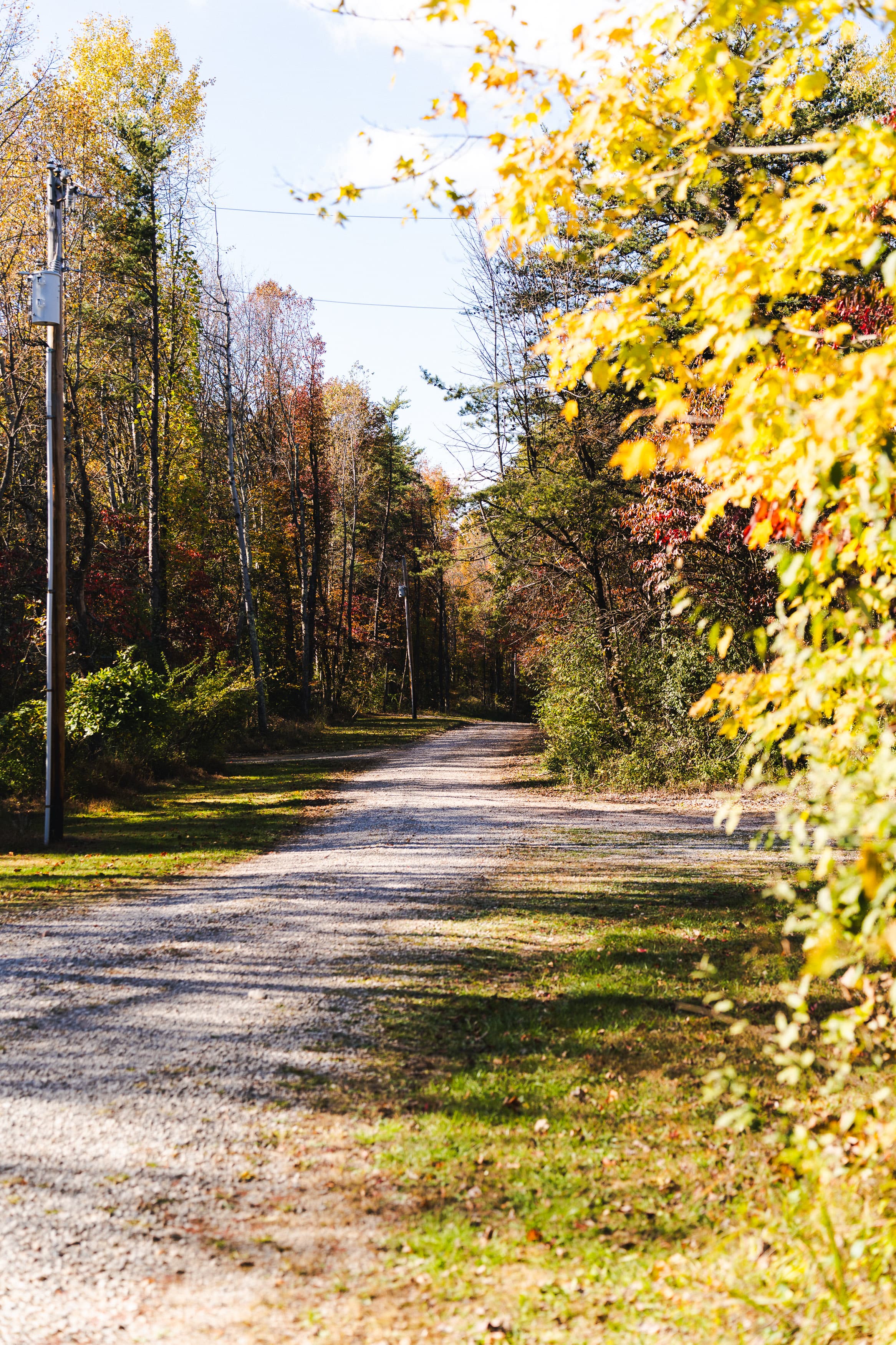 A gravel road meanders through a tree-lined area with autumn foliage.