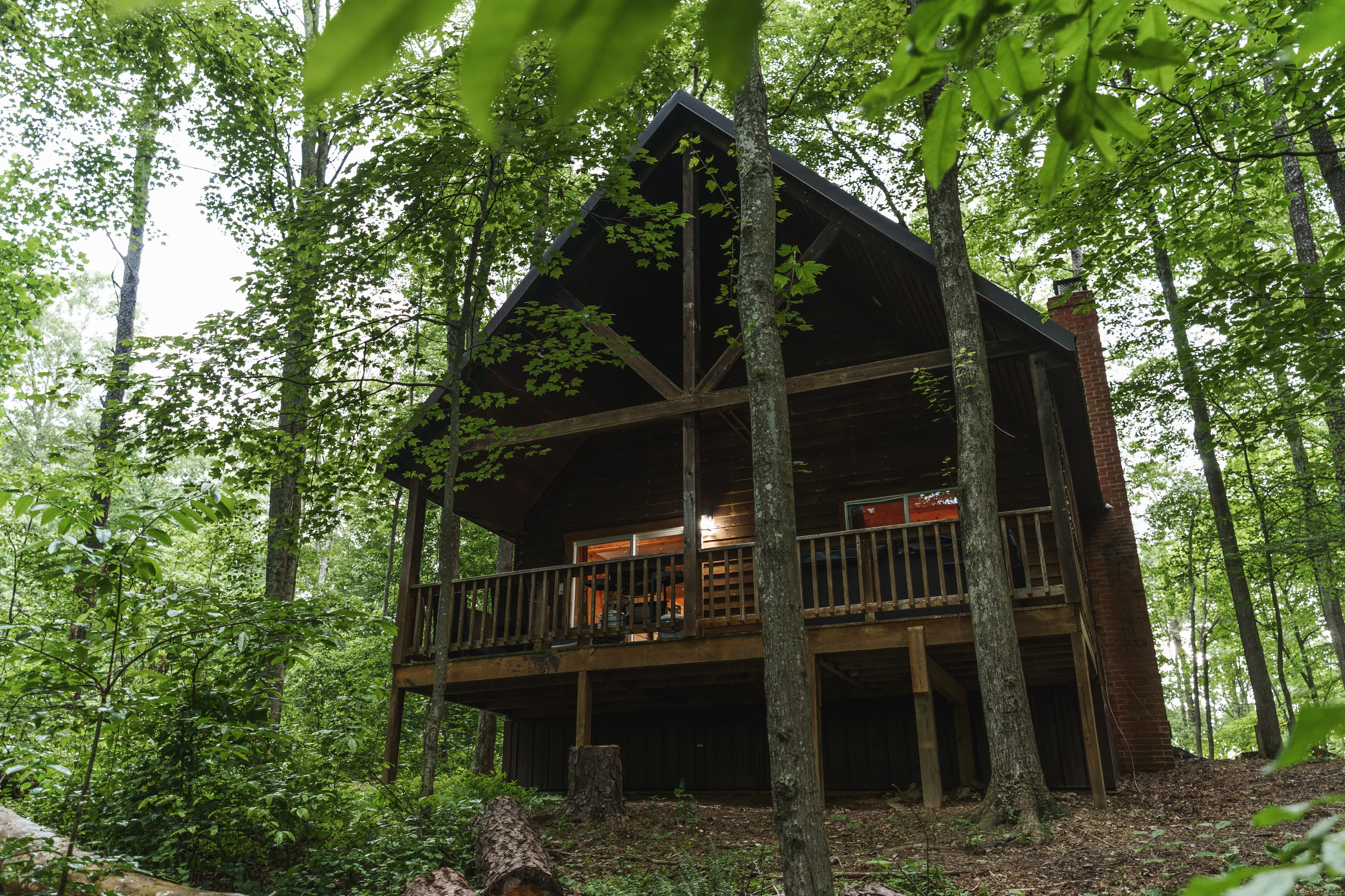 A wooden cabin nestled among dense green trees.