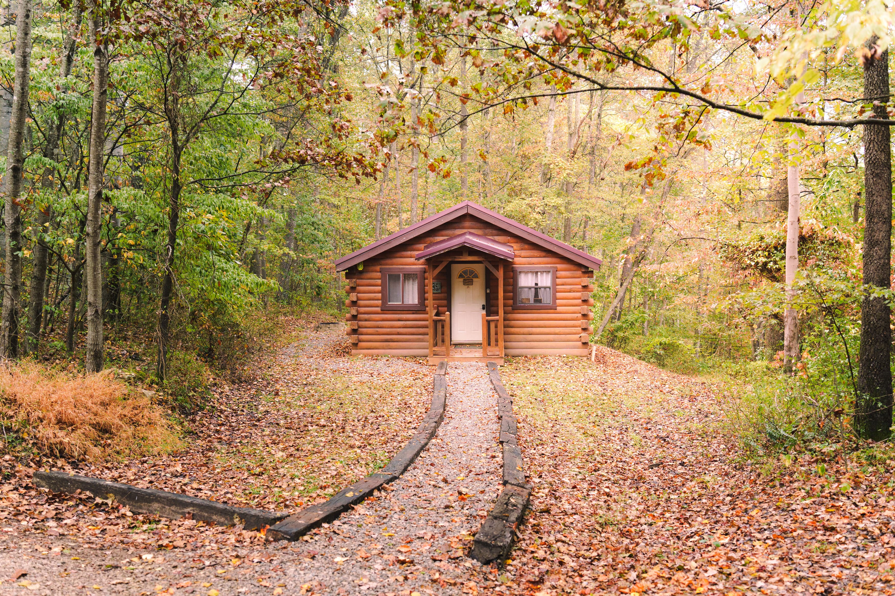 A cozy log cabin surrounded by fall foliage and a gravel pathway.