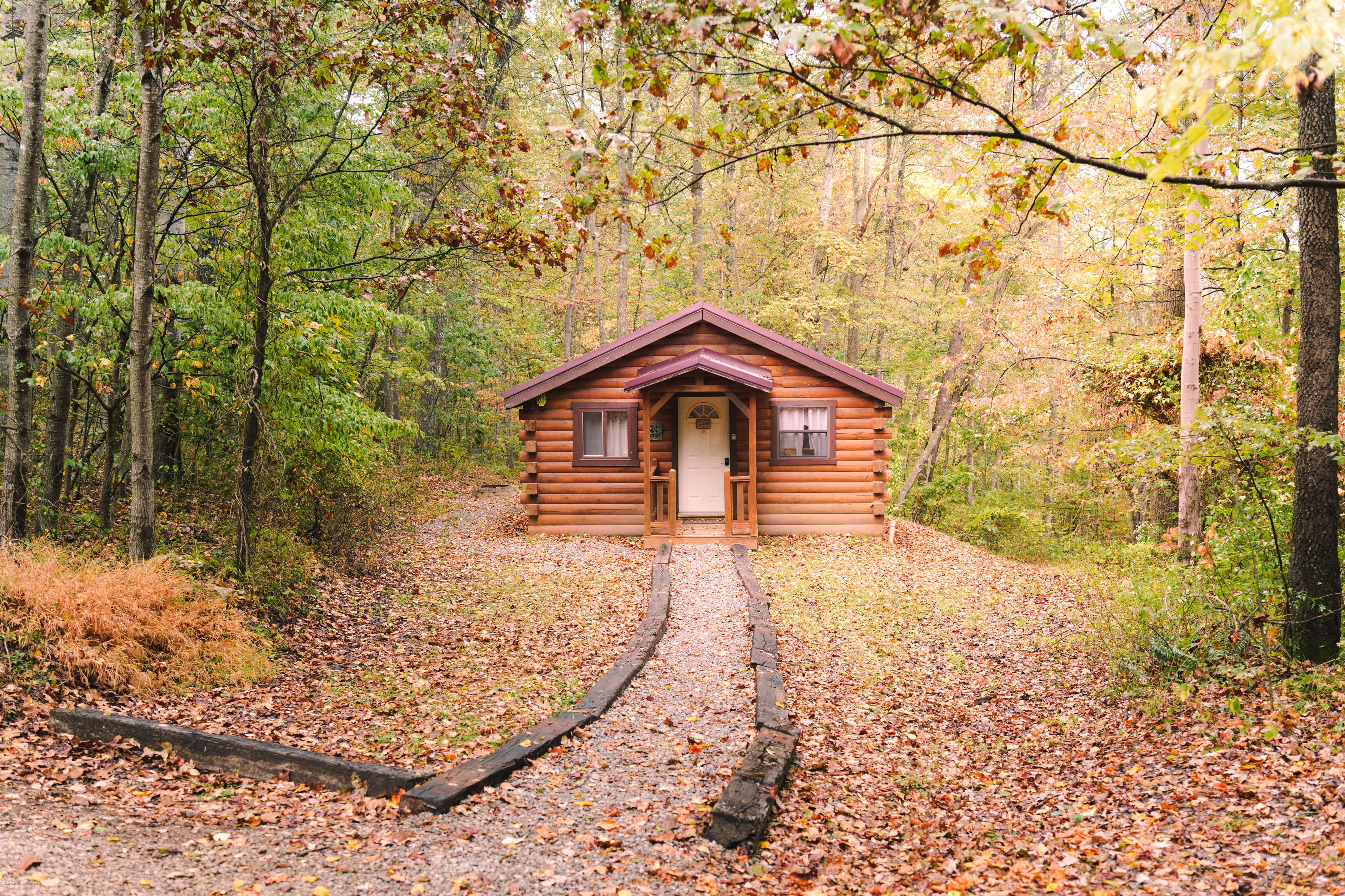 A cozy log cabin surrounded by fall foliage and a gravel pathway.